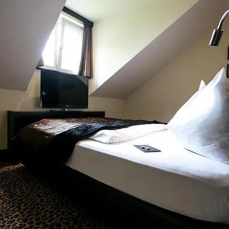 Hotel Seebrunn Am Wallersee - And - Self-check-in 3*
